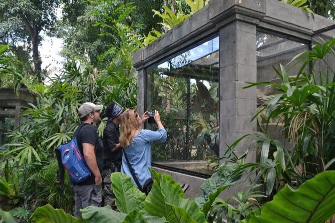 Bali Reptile Park Entrance Ticket - The enclosure question you should not ignore