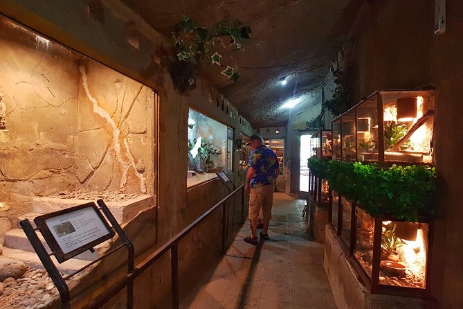Bali Reptile Park Entrance Ticket - Who will enjoy this most