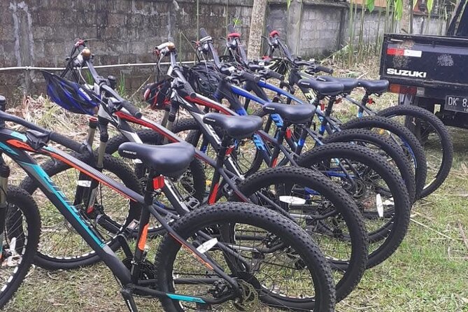 Bali Rural Village Bike - Lunch and the Important Inclusion Question