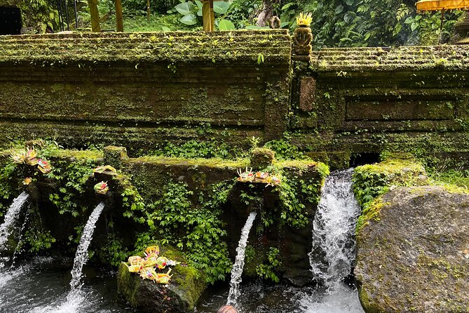Bali Samanic Healing Purification Natural - What the flexible itinerary may include