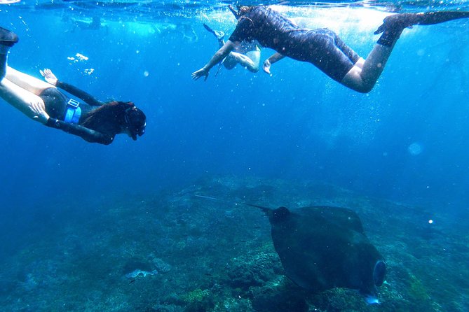 Bali Scuba Diving at Nusa Penida Manta Point For Certified Diver - Certification rules are strict for a reason