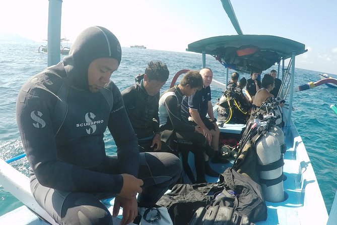 Bali Scuba Diving at Padang Bai for Certified Diver - Service, group size, and the human side