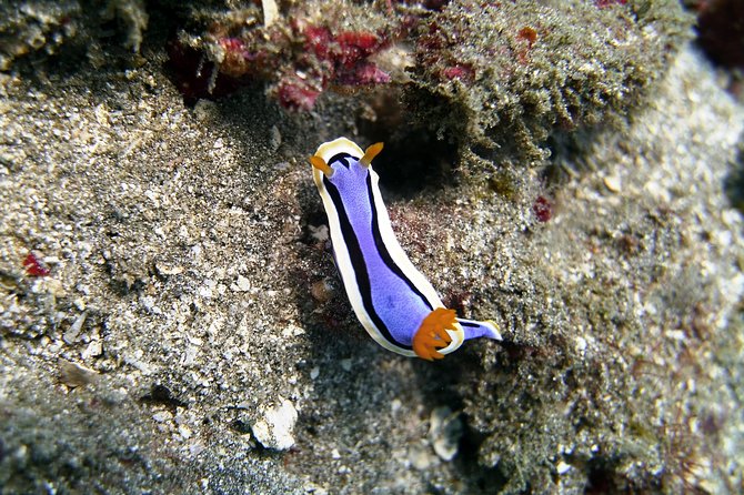 Bali Scuba Diving at Padang Bai for Certified Diver - What to pack and how to prepare