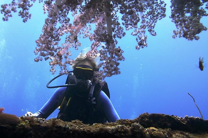 Bali Scuba Diving trip at Tulamben for Certified Diver - The early pickup and long ride to East Bali