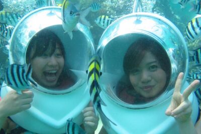 Bali Sea Walker