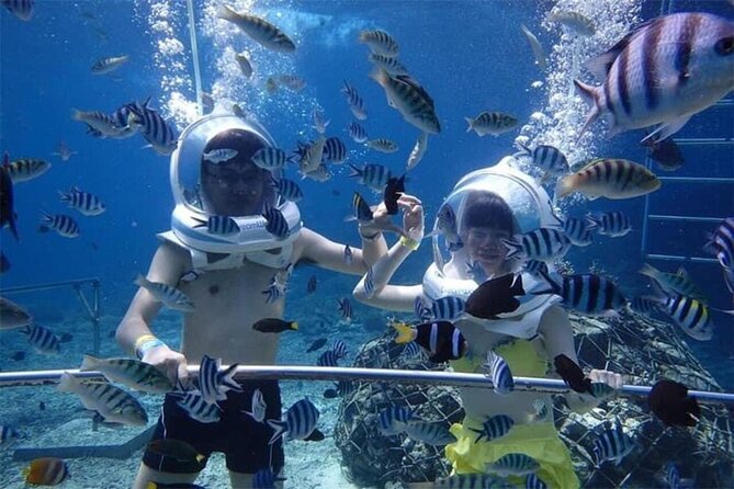 Bali Sea Walker Under Water Experience With Hotel Transfer - Walking below the surface in Tanjung Benoa