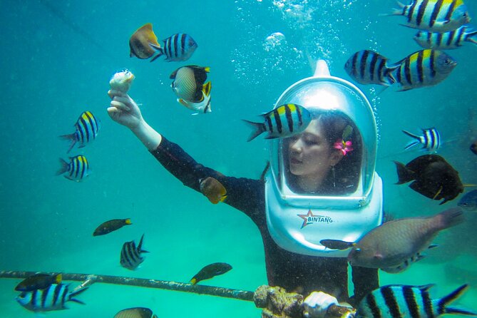 Bali Sea Walker Under Water Experience With Hotel Transfer - Private group value at $32.50