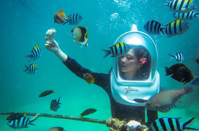 Bali Sea Walker Under Water Experience With Hotel Transfer - Safety, comfort, and who should book