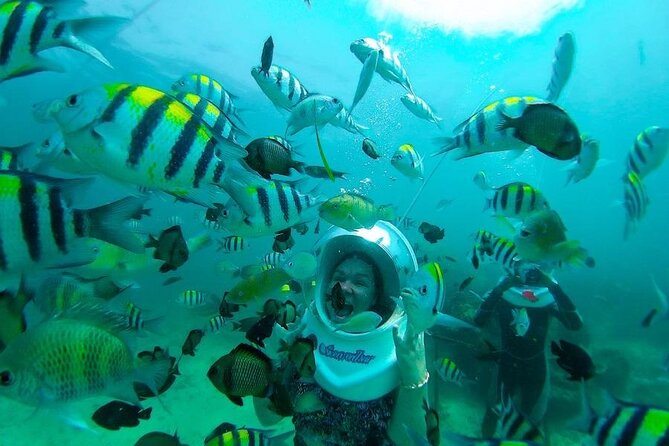Bali Sea Walker Under Water Experience With Hotel Transfer - A calm look at Bali’s marine life