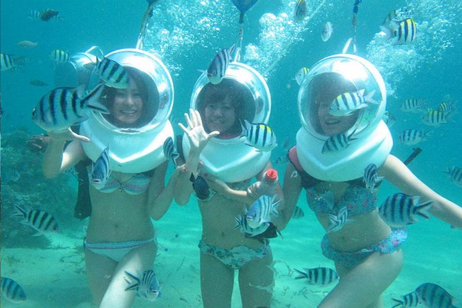 Bali Sea Walking Experience - Quick points before you book