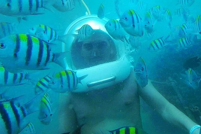 Bali Sea Walking Experience - What the transfer packages add