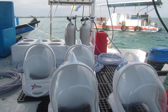 Bali Sea Walking Experience - Photos, pricing, and the real value
