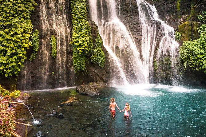 Bali Secret Waterfall Tour - Private and All-Inclusive - Why this private waterfall day works