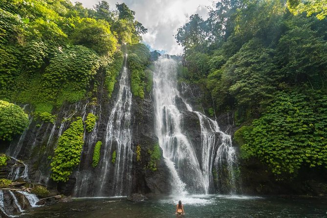Bali Secret Waterfall Tour - Private and All-Inclusive - Lunch beside the lake is part of the value