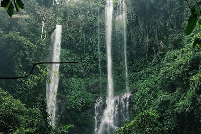Bali Sekumpul with Fiji Waterfall & Bedugul Temple (Private Tour) - Why northern Bali is worth the long ride