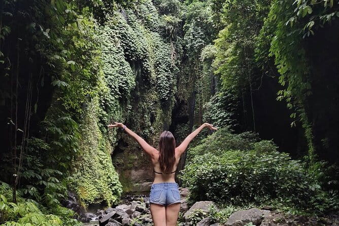 Bali Sekumpul with Fiji Waterfall & Bedugul Temple (Private Tour) - Which driver might you get?