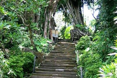 Bali Shaman,Palm Reading,& Spiritual