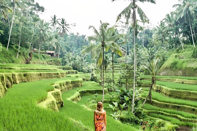 Bali Shore Excursions : Best of Bali Tour - Ubud’s art and cultural stops