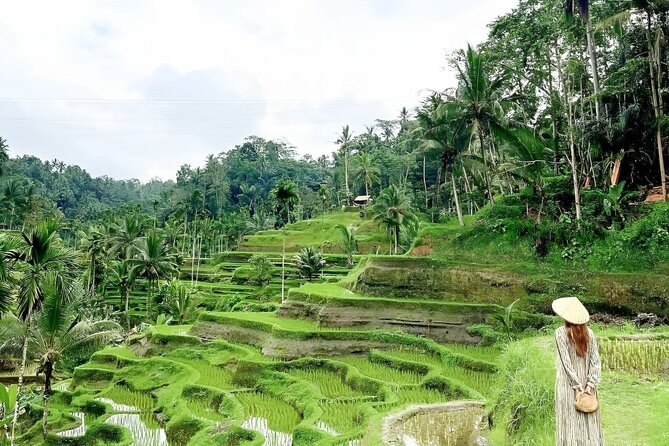 Bali Shore Excursions : Best of Bali Tour - Lunch, photos, and extra costs