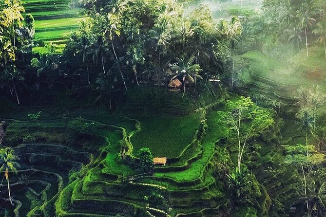 Bali Sightseeing - The guide can make or break the day