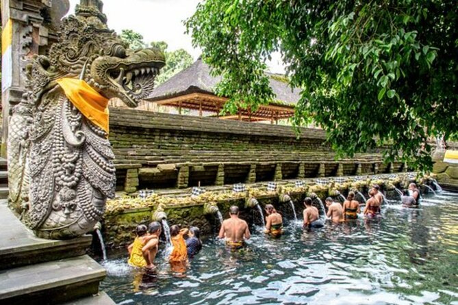 Bali Sightseeing Tour - Traditional village - Waterfall - The Penglipuran Bamboo Forest