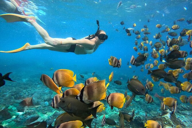Bali Snorkeling 2 Spot at Blue Lagoon with Lunch & Transport - Key points before you book