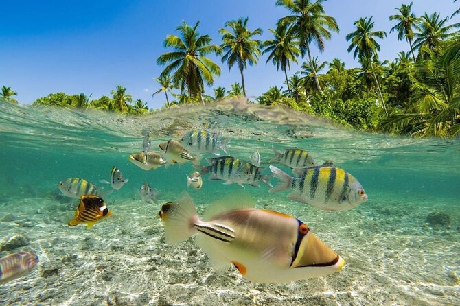 Bali Snorkeling 2 Spot at Blue Lagoon with Lunch & Transport - The weather question