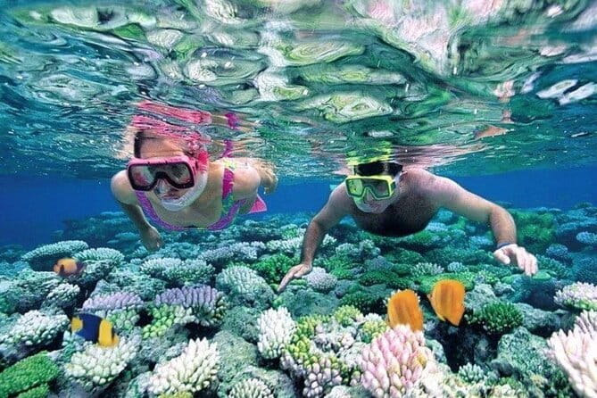 Bali Snorkeling at Blue Lagoon and Tanjung Jepun with Transfer - Key Points at a Glance
