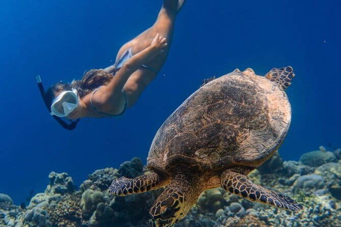 Bali Snorkeling at Blue Lagoon and Tanjung Jepun with Transfer - Blue Lagoon: Calm Water and Clear Appeal