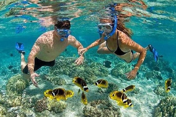 Bali Snorkeling at Blue Lagoon with Transport and Lunch - What You Might See Beneath the Surface