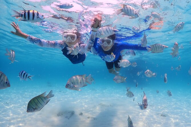 Bali Snorkeling Blue Lagoon with lunch &Optional waterfall Visit - A full Bali day built around Blue Lagoon