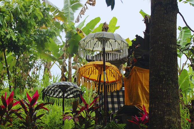 Bali Spiritual: Blessing Ceremony, Pristine Nature and Transfer - The Best Parts of the Day