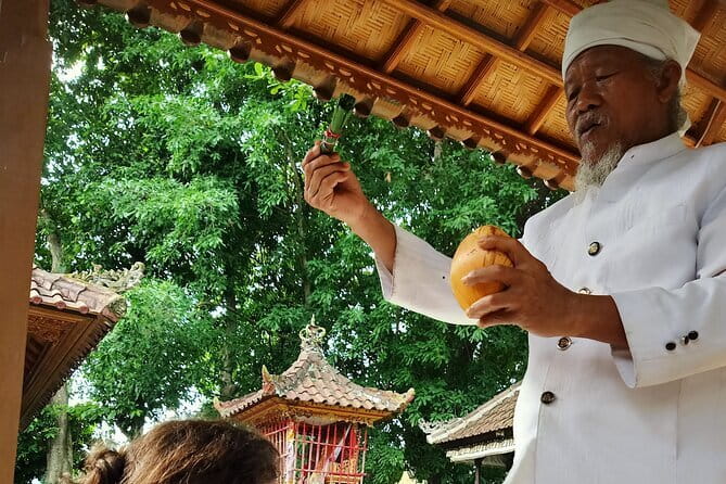 Bali Spiritual Shamanic-Palm Reading, Temple Healing Tour - Key points to know before you book