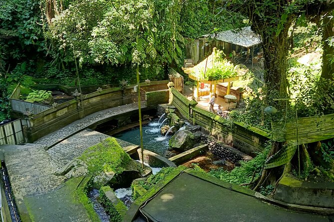 Bali Spiritual Soul Retreat Cleansing and Mantra Healing - Why the private car and pickup matter in Ubud
