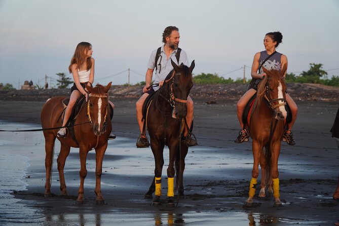 Bali Sunrise Horse Riding and Tour - Private transport changes the value of the day