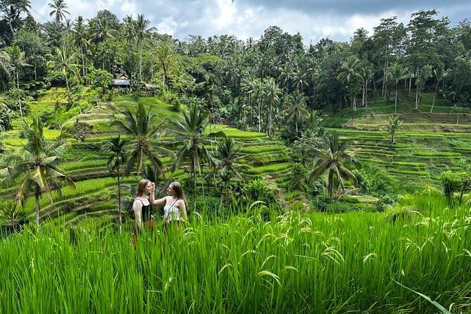 Bali Sunrise Without Hiking: Temples, Rice Terraces & Waterfall - Key points to know before booking