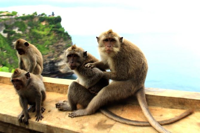 Bali Sunset: Uluwatu Temple, Kecak Dance and Jimbaran - Is $42 good value?