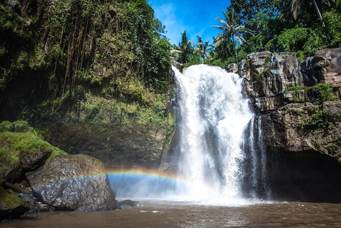 Bali Swing Hot Spring And Waterfall Private Guided Tour - Tegalalang shows Bali’s Subak farming system