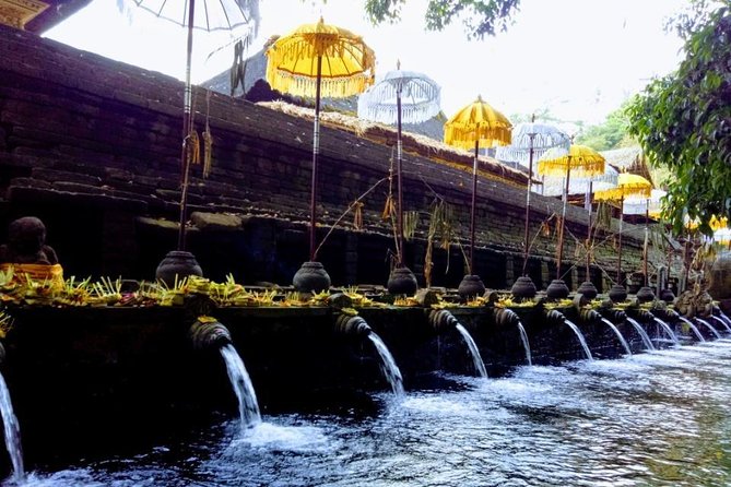 Bali Swing Ubud Private Day Tour - Seeing the Tegalalang Rice Terrace around lunchtime