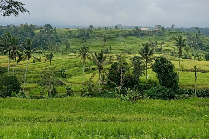 Bali Tanah Lot, Ulun Danu Beratan & Jatiluwih Rice Terrace - Why the route works from Ubud