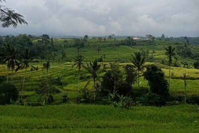 Bali Tanah Lot, Ulun Danu Beratan & Jatiluwih Rice Terrace