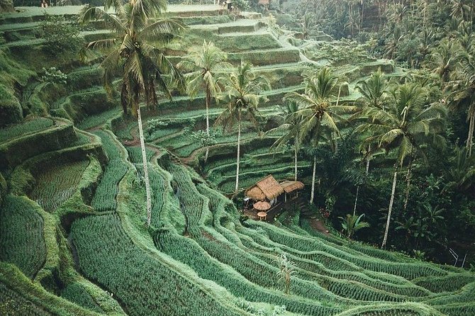 Bali Tour Customized With Local Guide - North Bali’s lake temple and mountain viewpoints