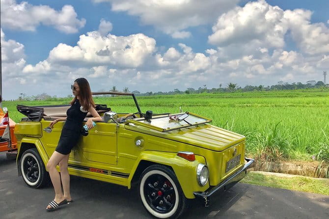 Bali Tour Driver - Sacred Monkey Forest Sanctuary in Ubud