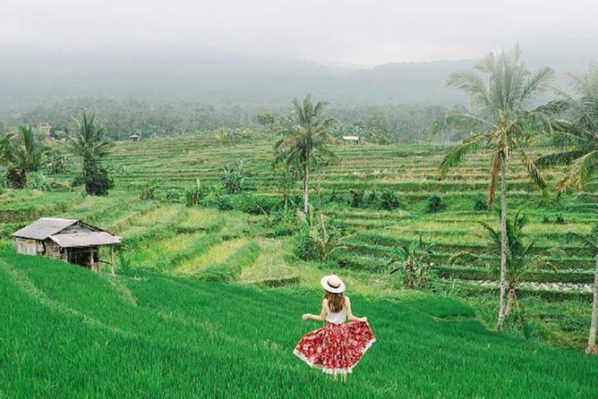 Bali Tour Package 9 Days 8 Nights - Day 3: Mountain temples and Bali’s finest rice fields