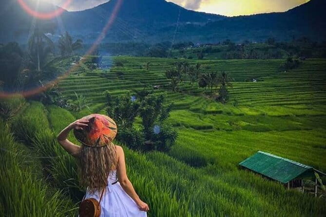 Bali Tour: Tanah Lot, UNESCO Rice Terrace and Water Temple - Price, lunch, and overall value at $52.25