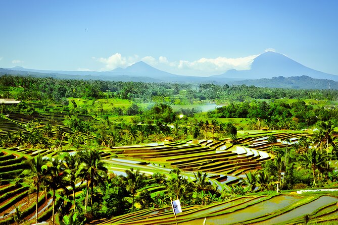 Bali Tour: The Best Way to Explore The Highlight of Bali - Tanah Lot and the final coastal view