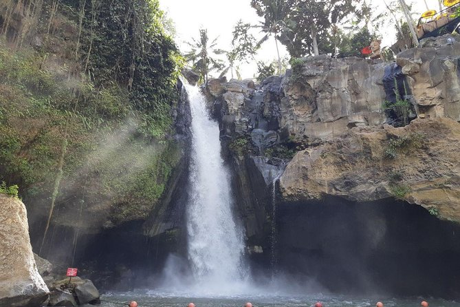 Bali Tour: Ubud Most Popular Place - Key points to know before booking