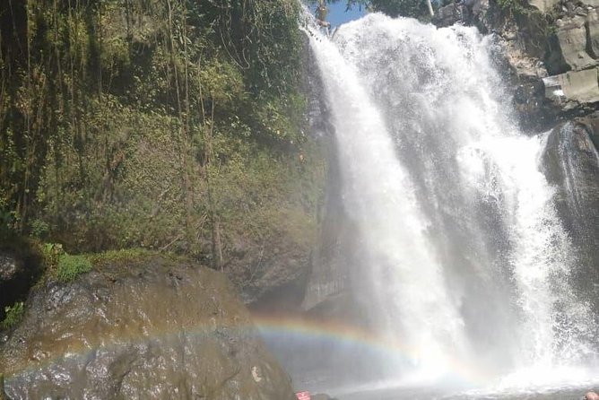 Bali Tour: Ubud Most Popular Place - What this $119 Ubud day is really buying you
