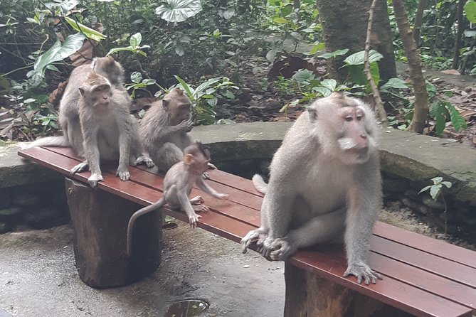 Bali Tour: Ubud Most Popular Place - Tirta Empul explains Balinese spiritual practice