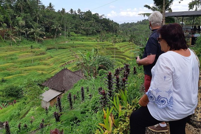 Bali Tour: Ubud Most Popular Place - How the private format changes the day